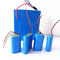 3S10P Deep Cycle Li Ion Battery Pack 12v 20ah Lithium Ion Battery 1000 Times Cycle Life supplier